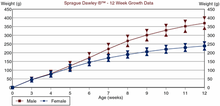 Sprague Dawley Rat Weight Age Chart